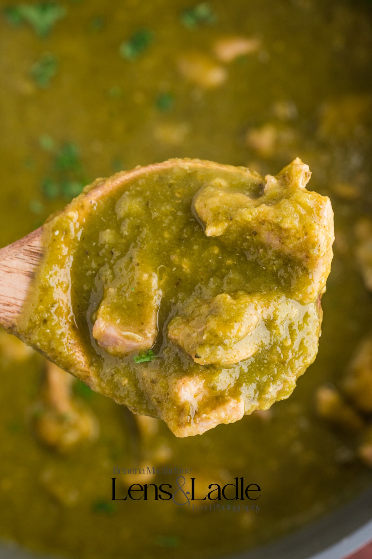 Chicken Chile Verde & Chile Verde Enchiladas- 2 Exclusive Recipes Set