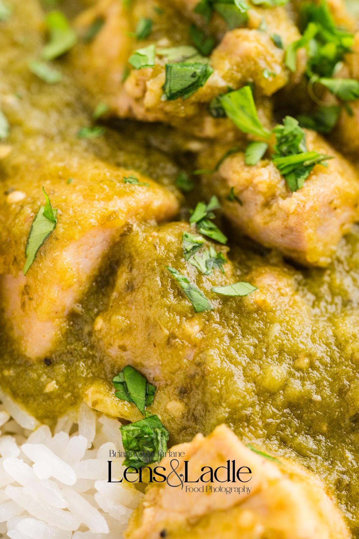 Chicken Chile Verde & Chile Verde Enchiladas- 2 Exclusive Recipes Set