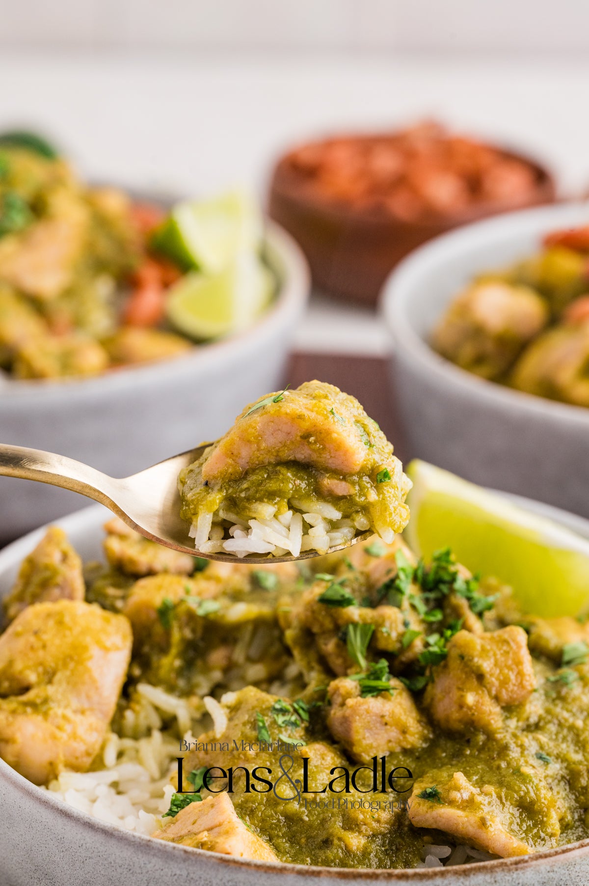Chicken Chile Verde & Chile Verde Enchiladas- 2 Exclusive Recipes Set