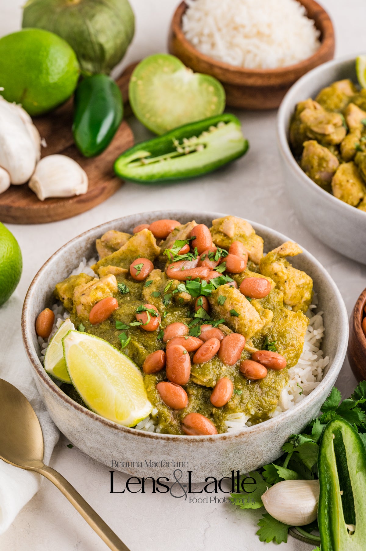 Chicken Chile Verde & Chile Verde Enchiladas- 2 Exclusive Recipes Set