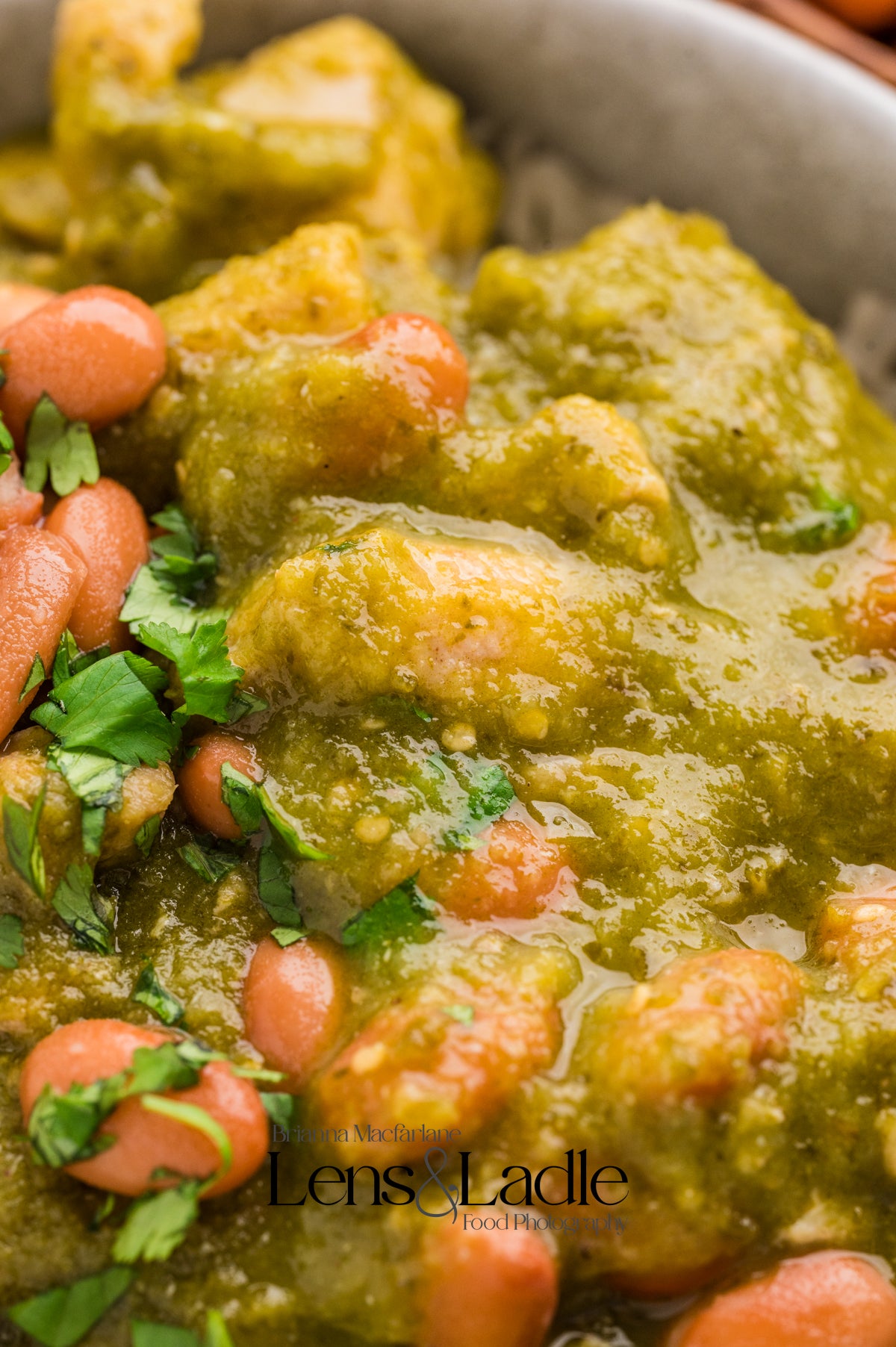 Chicken Chile Verde & Chile Verde Enchiladas- 2 Exclusive Recipes Set