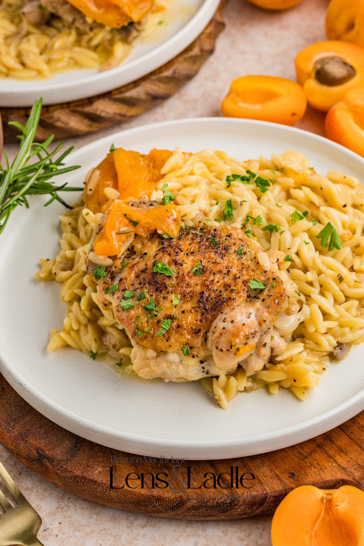 Apricot Chicken and Orzo (1-pot)- Exclusive Recipe Set