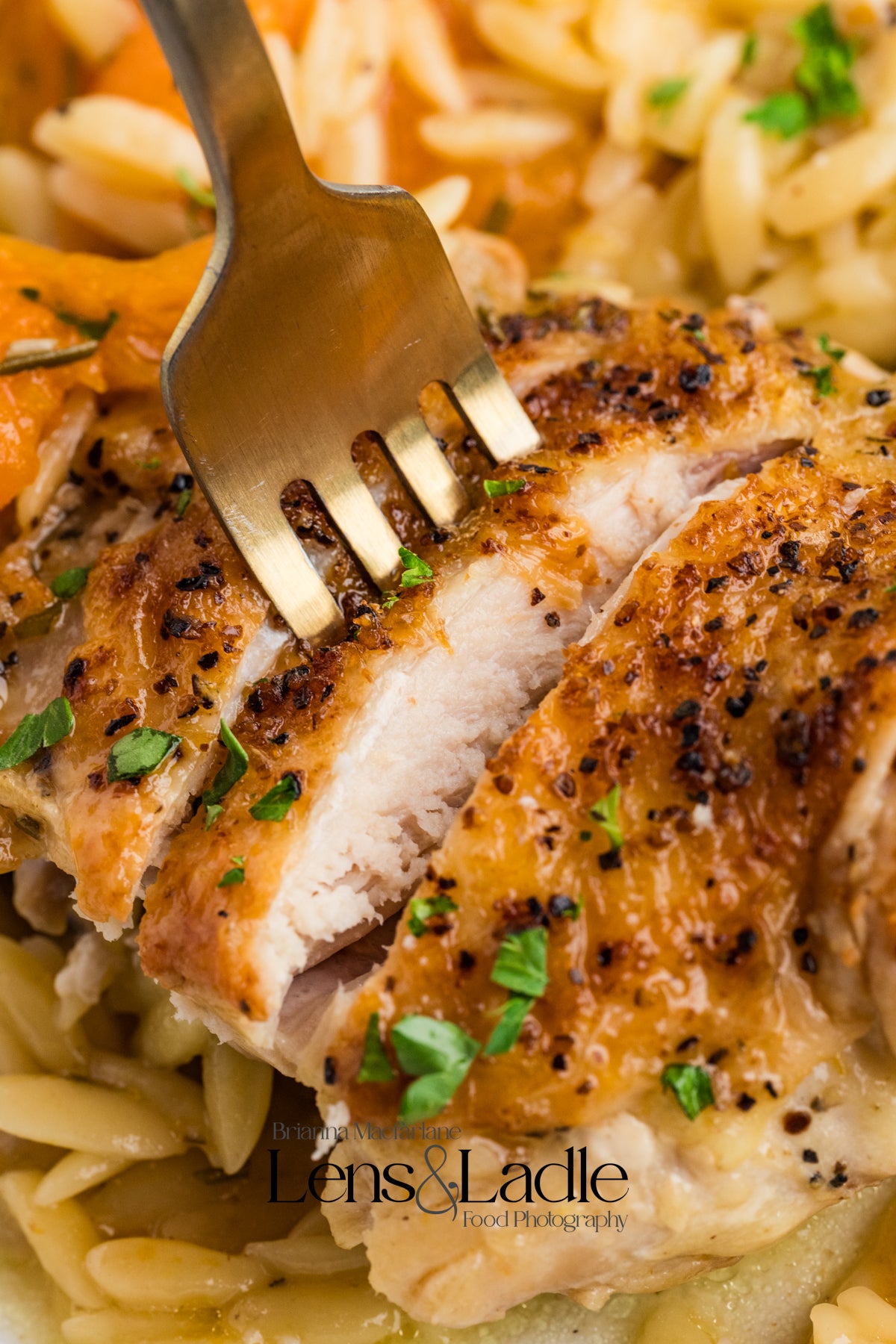 Apricot Chicken and Orzo (1-pot)- Exclusive Recipe Set