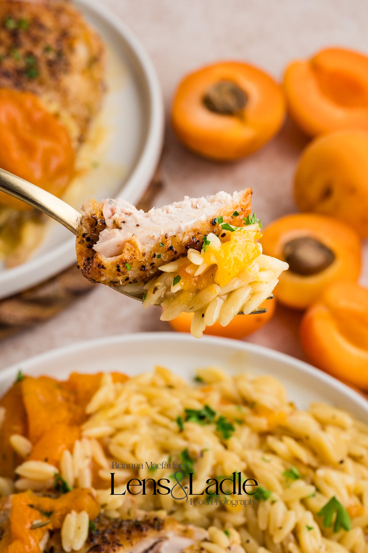 Apricot Chicken and Orzo (1-pot)- Exclusive Recipe Set