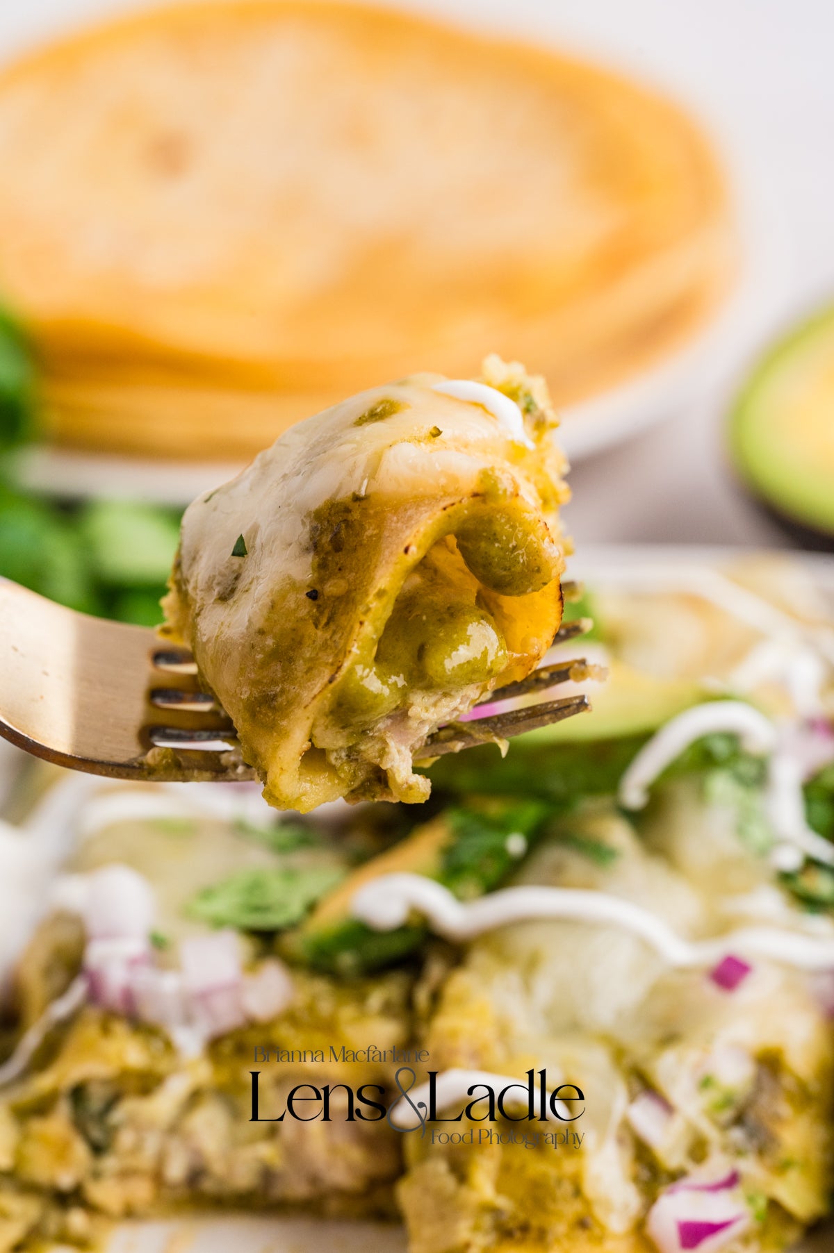 Chicken Chile Verde & Chile Verde Enchiladas- 2 Exclusive Recipes Set