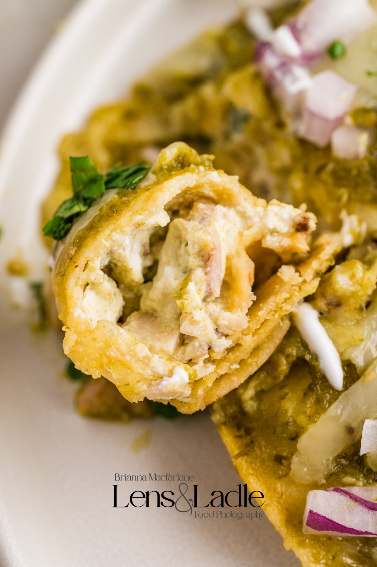 Chicken Chile Verde & Chile Verde Enchiladas- 2 Exclusive Recipes Set