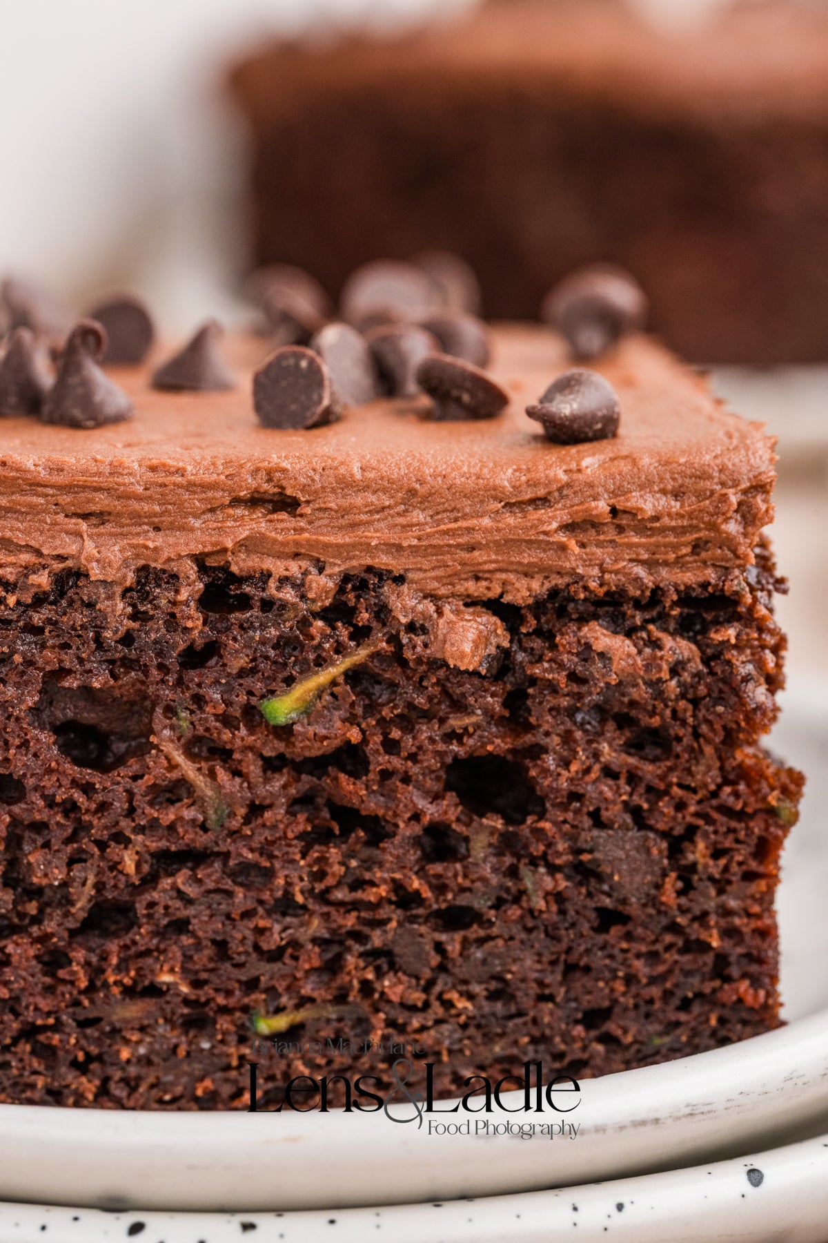 Chocolate Zucchini Cake- Exclusive Recipe Set