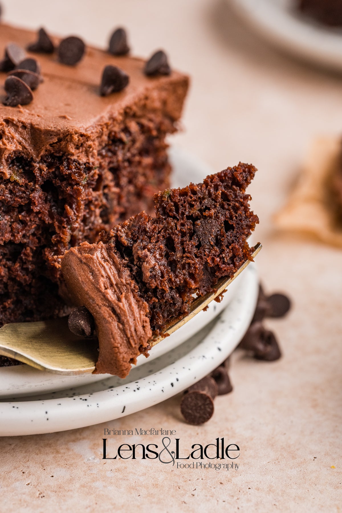 Chocolate Zucchini Cake- Exclusive Recipe Set