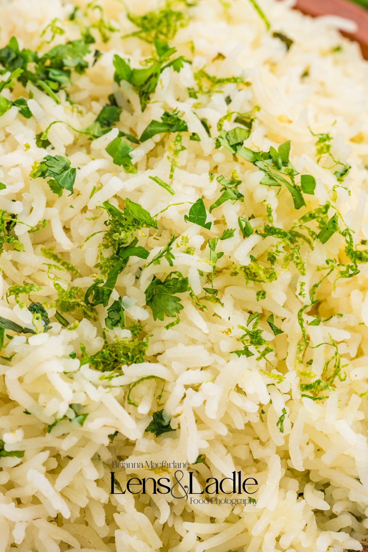 Fish Taco bowls and Cilantro Lime Rice-2 Exclusive Recipe Sets