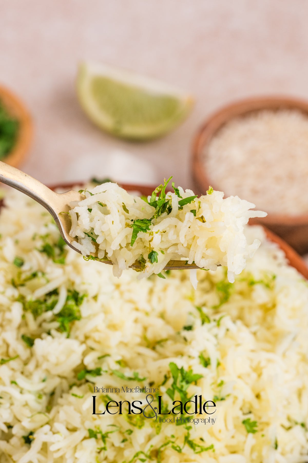 Fish Taco bowls and Cilantro Lime Rice-2 Exclusive Recipe Sets