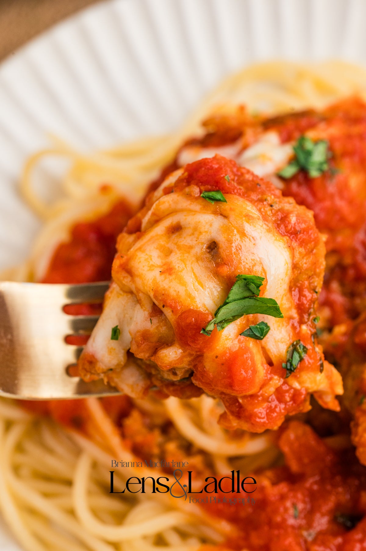 Cottage Cheese Meatballs (Turkey-high protein, low carb)- Exclsuive Recipe
