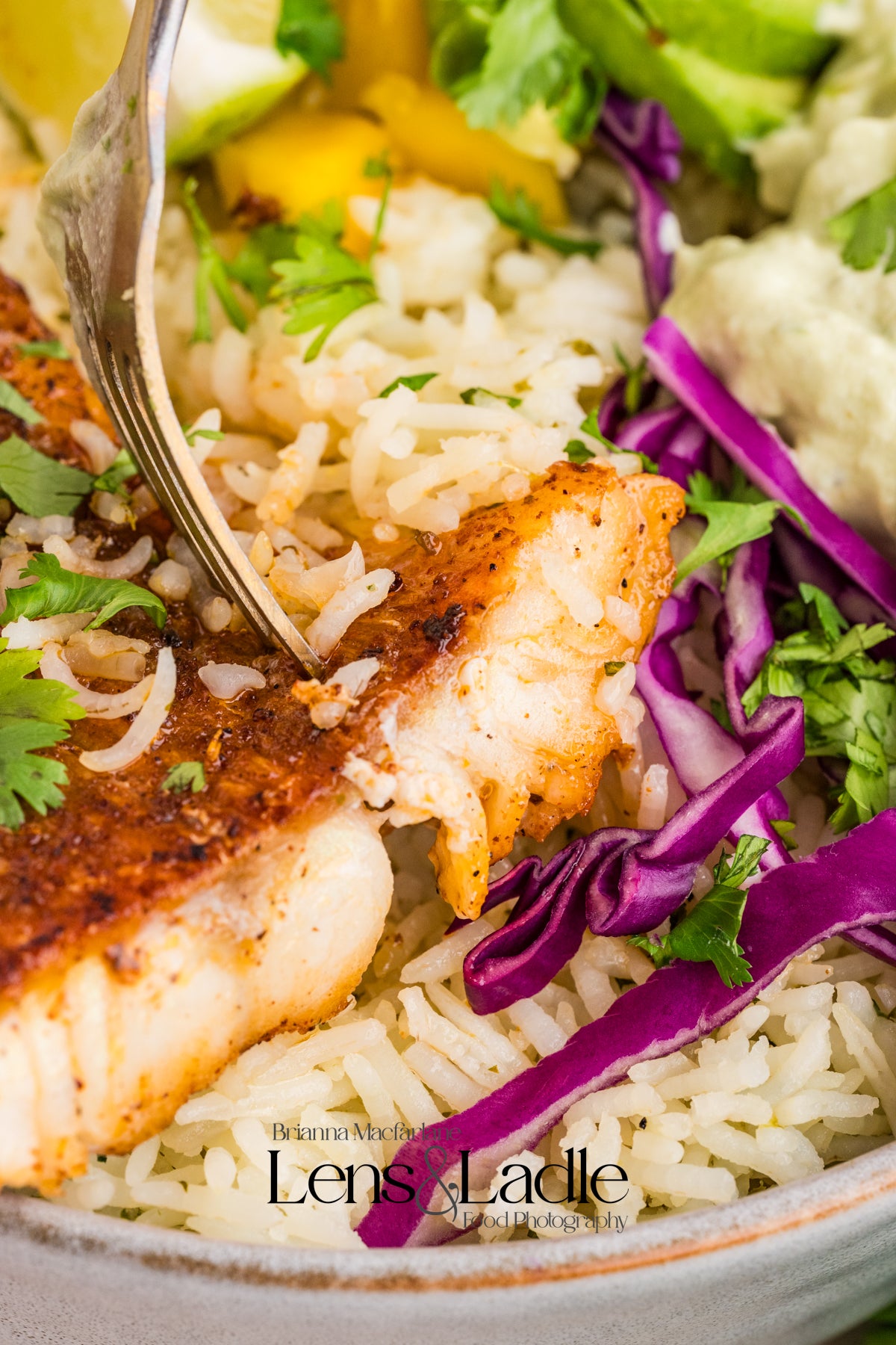 Fish Taco bowls and Cilantro Lime Rice-2 Exclusive Recipe Sets