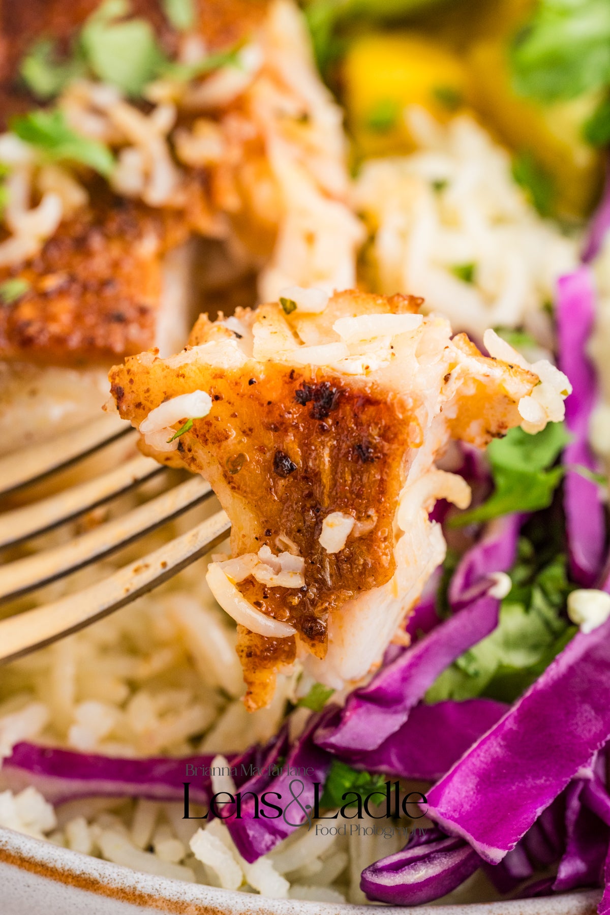 Fish Taco bowls and Cilantro Lime Rice-2 Exclusive Recipe Sets