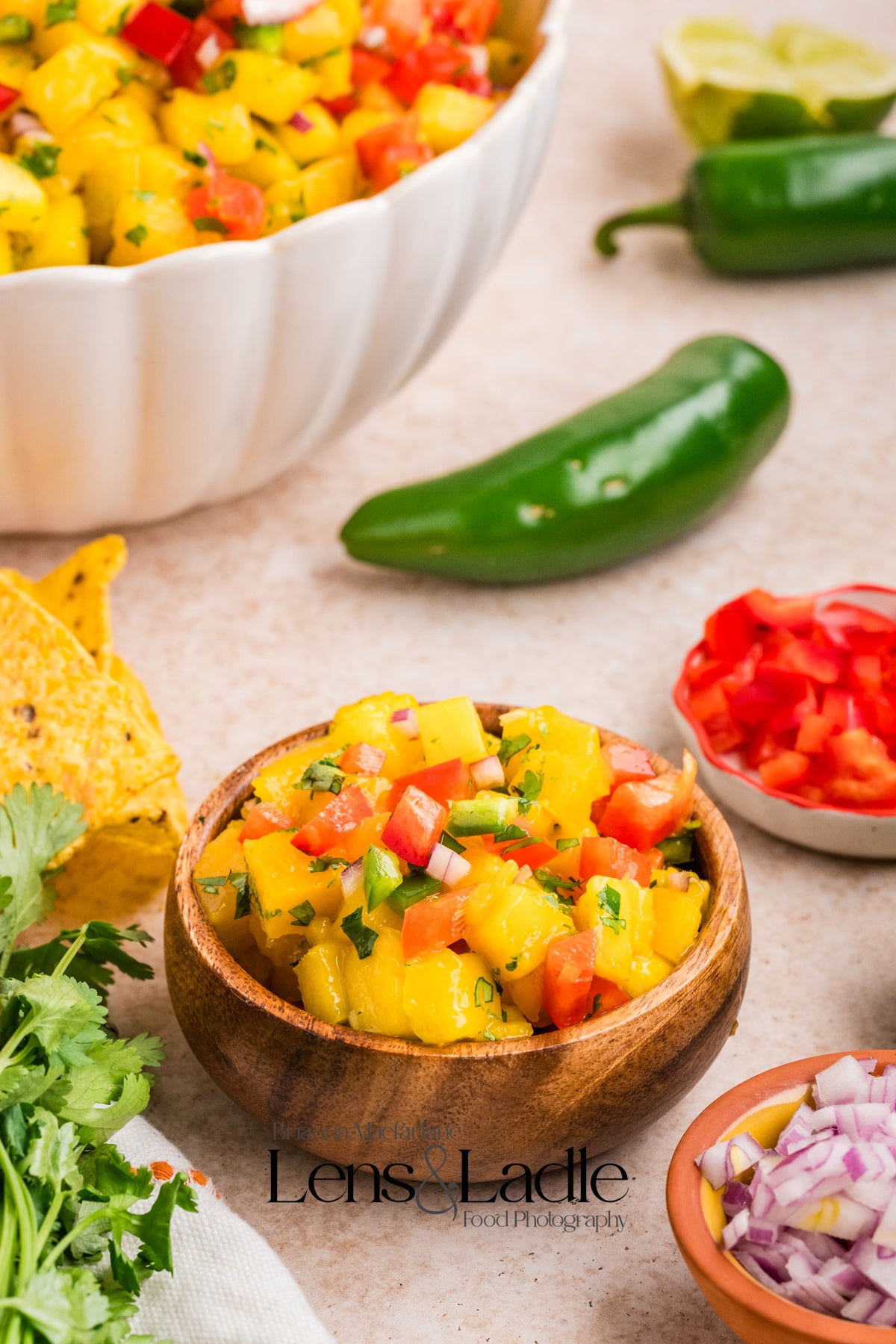 Beer-Battered Fish Tacos (with chipotle crema) and Mango Salsa- 2 exclusive recipes set