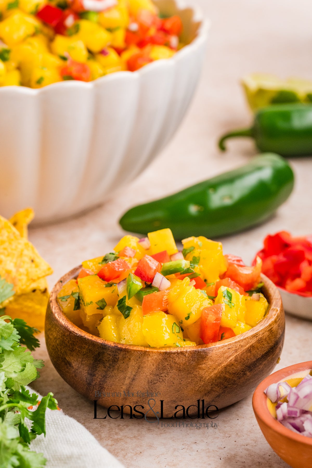 Beer-Battered Fish Tacos (with chipotle crema) and Mango Salsa- 2 exclusive recipes set