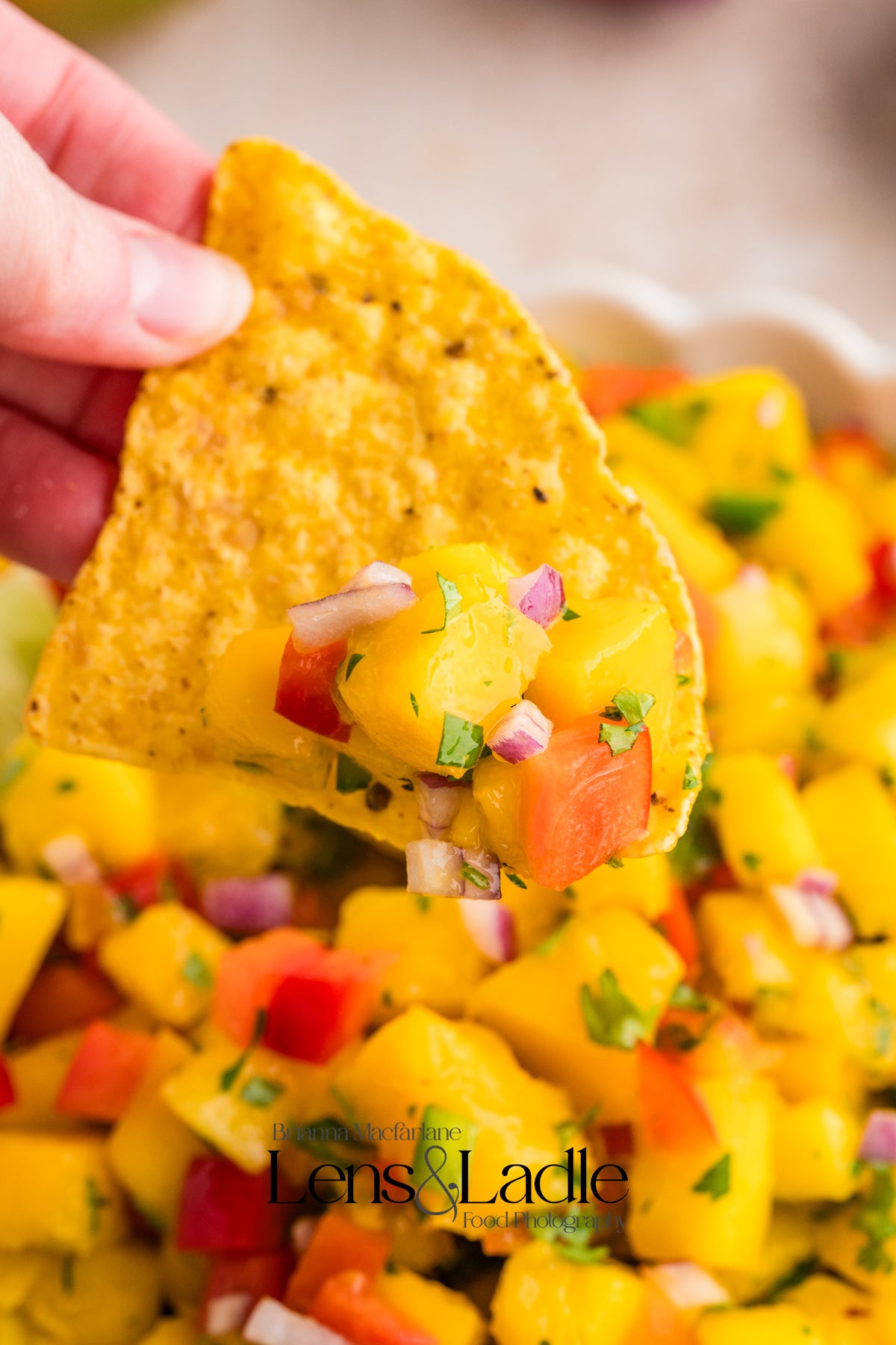 Beer-Battered Fish Tacos (with chipotle crema) and Mango Salsa- 2 exclusive recipes set