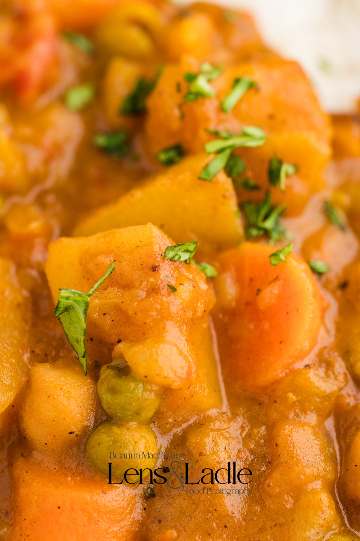 Potato Curry- Exclusive Recipe Set